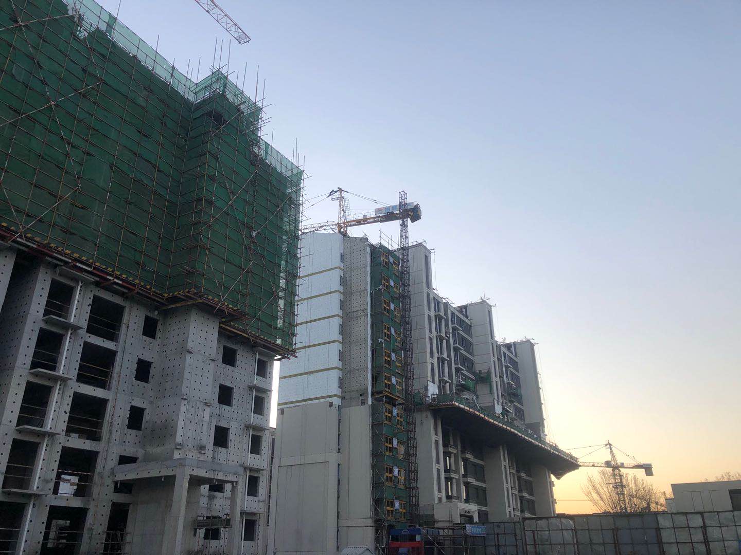 1605582702543920.jpg 03a8458cfad4f08f6823f7386cdd4ff.jpg