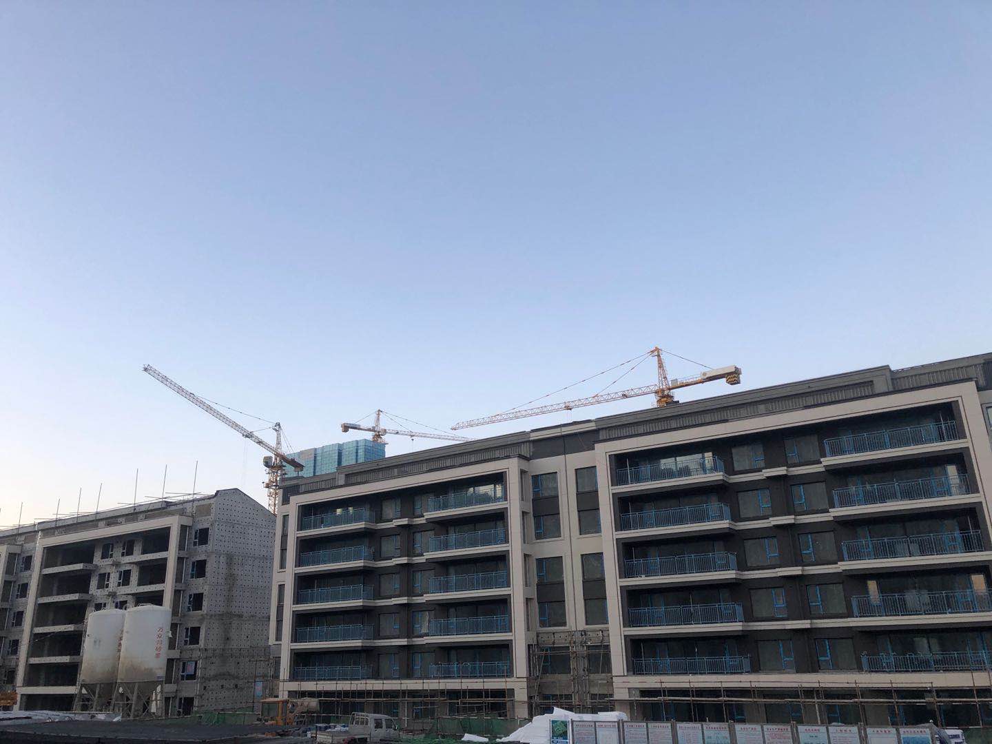 1605583315846685.jpg a0144f1d0e8d6340df135bc39a702b0.jpg